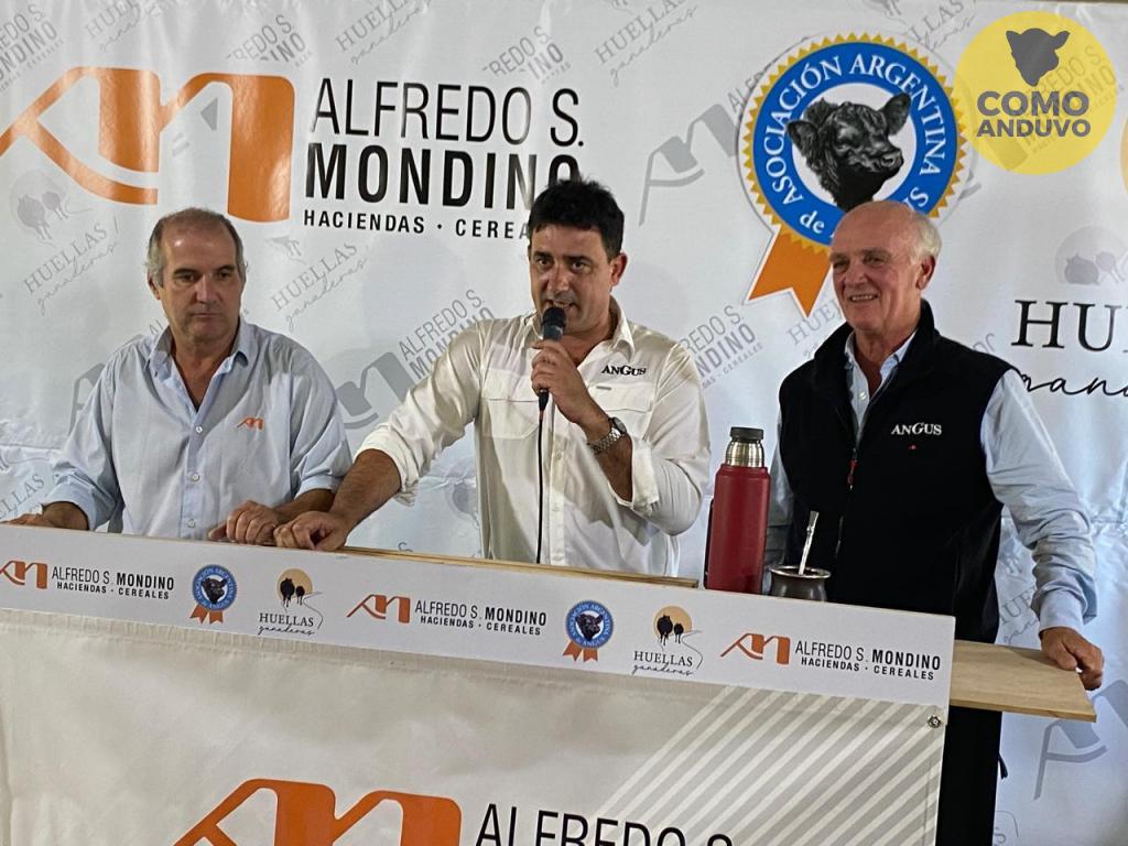 Alfredo S. Mondino